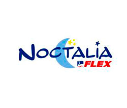 Noctalia-Flex