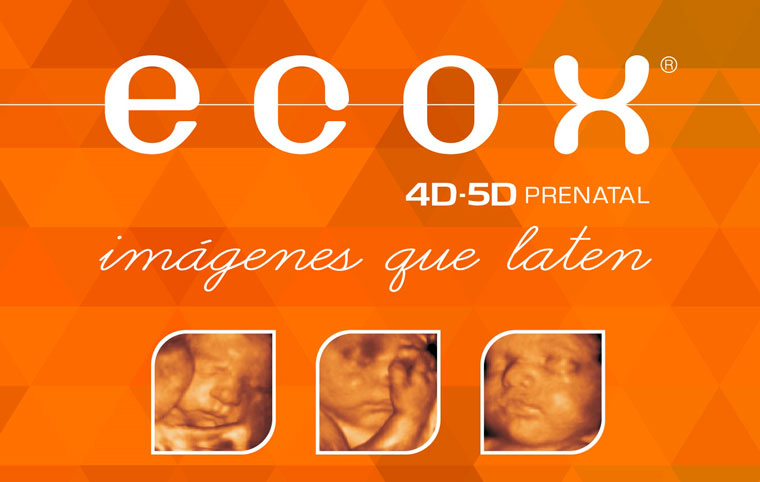 Ecox4D-5D abrirá nueva franquicia en Elche