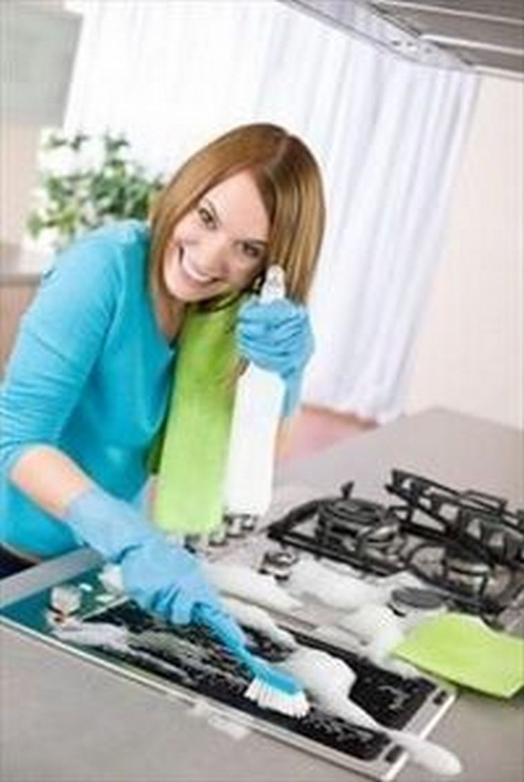 Nuevo nicho de empleo: empresas de servicios a domicilio.