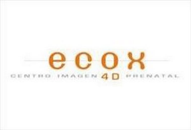Ecox 4D consolida su negocio a través de Internet