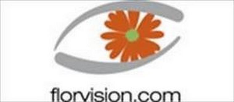 Florvisión presenta un nuevo concepto de Franquicia