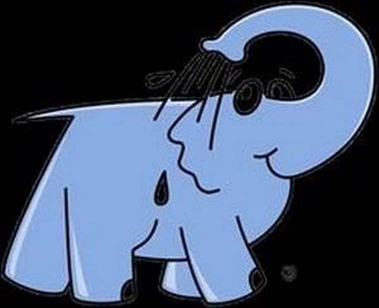 Albert Valverde, nuevo Director de Franquicias y Marketing de Elefante Azul para España