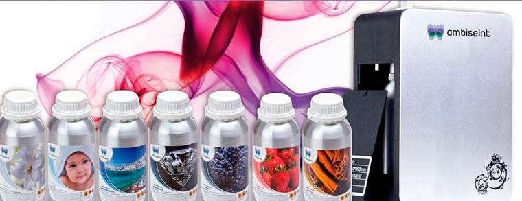 Ambiseint participa en SIF 2017